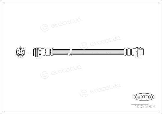 Corteco 19025904
