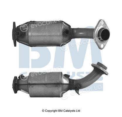 BM Catalysts BM91710H