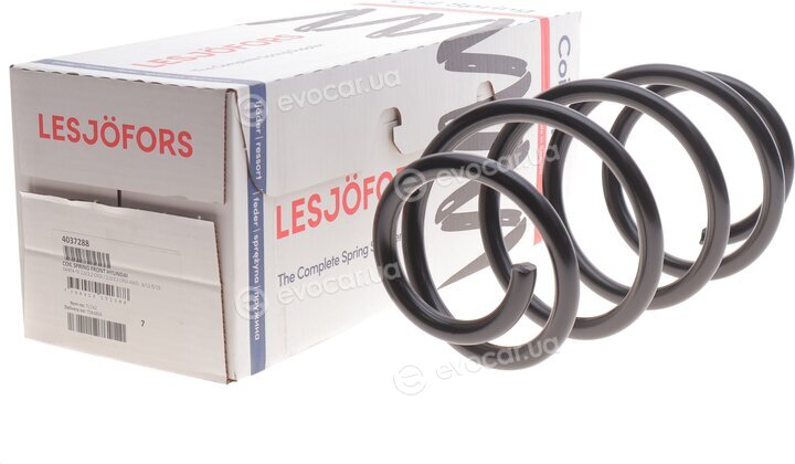 Lesjofors 4037288