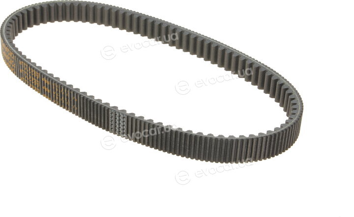 Dayco XTX2239
