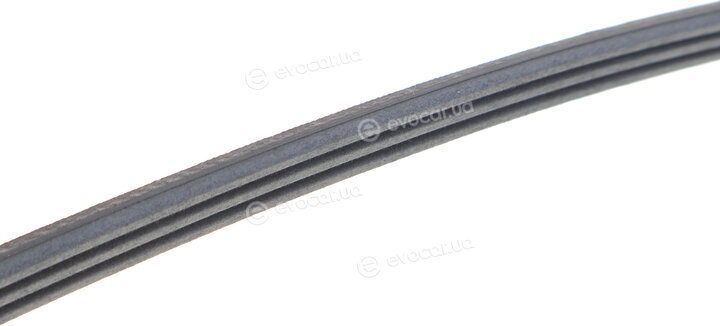 Continental 3PK762 ELAST