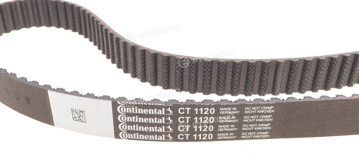 Continental CT1120WP1
