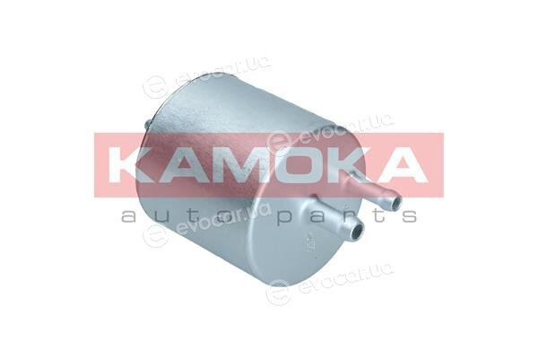 Kamoka F305601