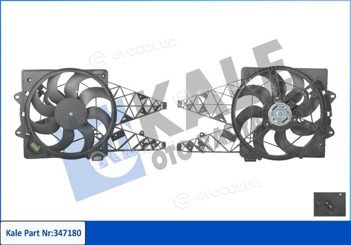 Kale 347180