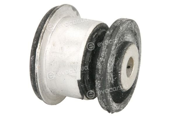 Reinhoch RH14-0076