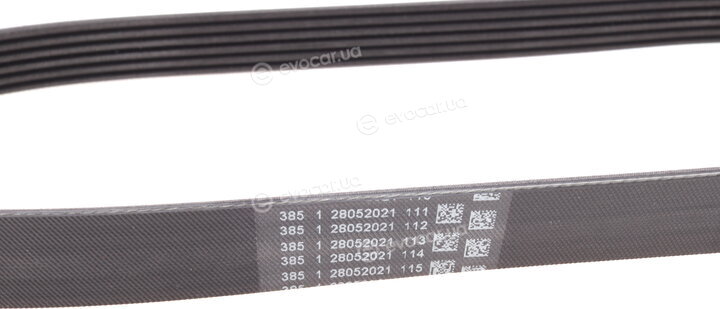Continental 6PK906