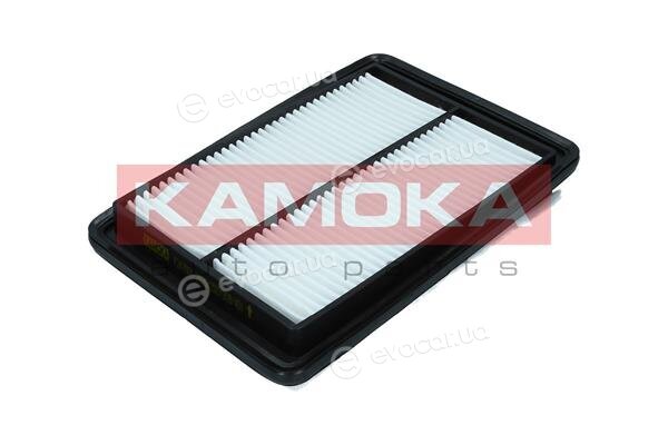 Kamoka F247601