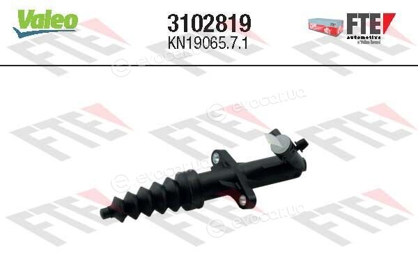 FTE 3102819