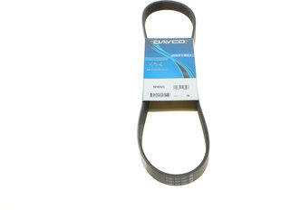 Dayco 6PK923