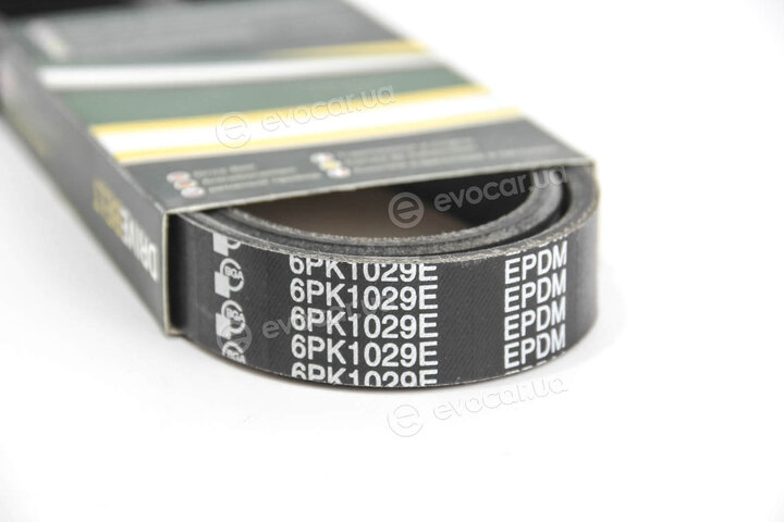 BGA 6PK1029E