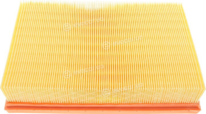 Mann C 25 101/1