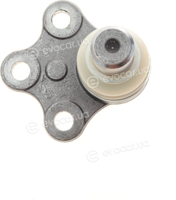AS Metal 10RN5606