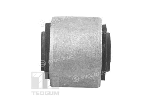 Tedgum 00349523