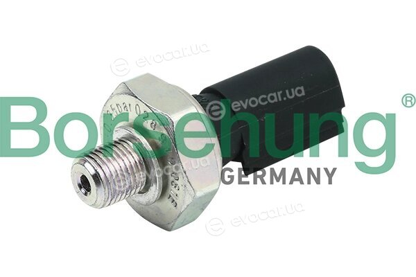 Borsehung B13139