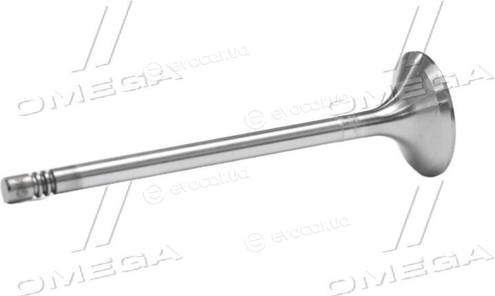 Gunes 3586