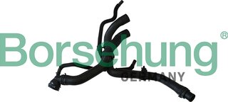 Borsehung B11977
