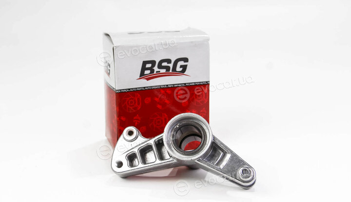 BSG BSG 60-615-006