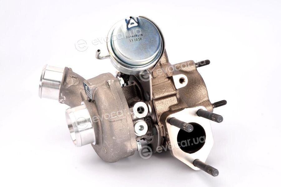 BorgWarner 53039880144