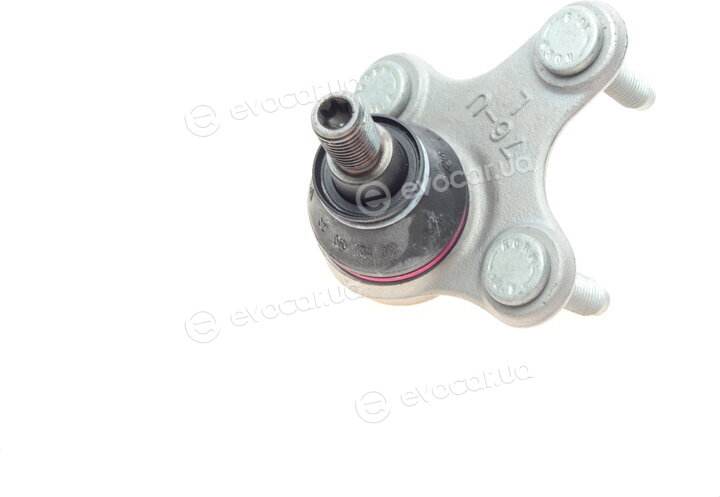 Borsehung B11342