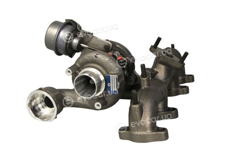 BorgWarner 54399880060