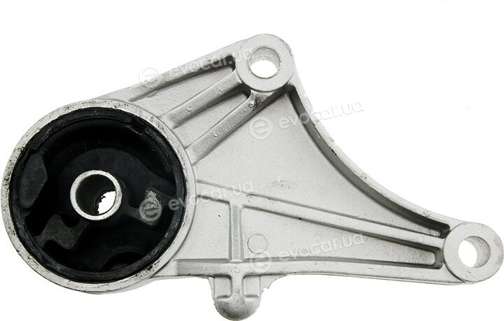 NTY ZPS-PL-013