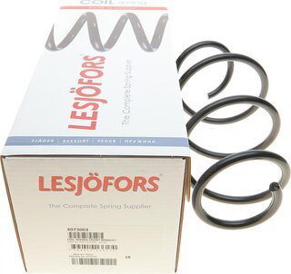 Lesjofors 4073003