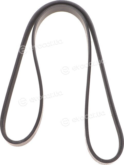 Dayco 4PK1013