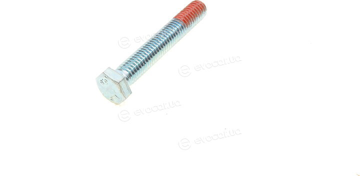 Continental CT1105WP2