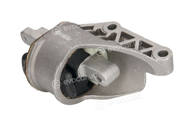 Reinhoch RH11-0117
