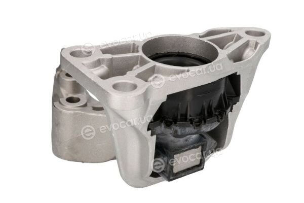 Reinhoch RH11-2043