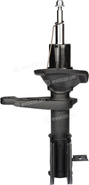 Raiso RS310021
