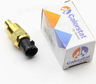 Vernet / Calorstat WS2588