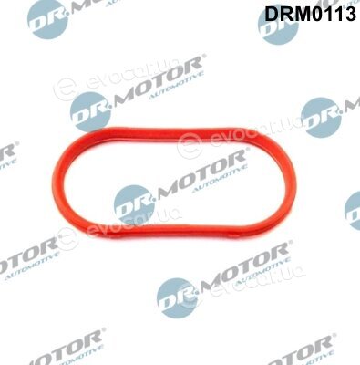 Dr. Motor DRM0113