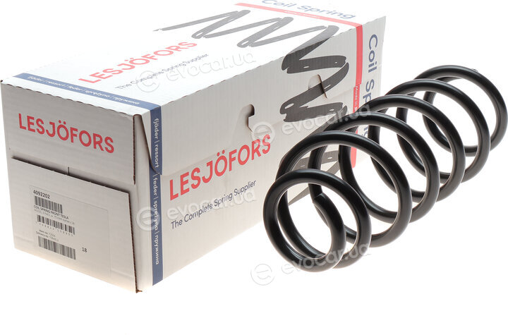 Lesjofors 4092202