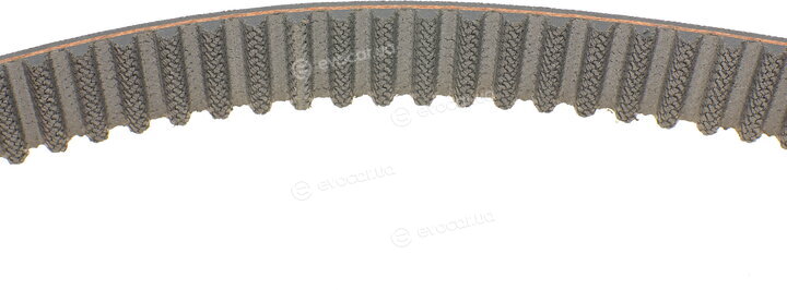 Continental CT1051WP2