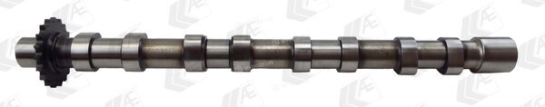 AE CAM976