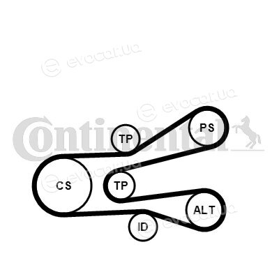 Continental 6PK1440K1