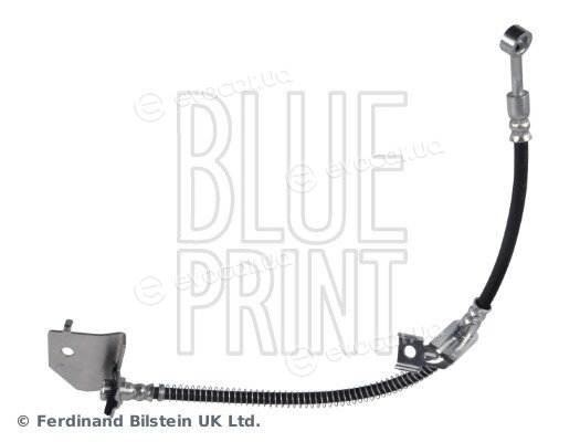 Blue Print ADBP530032