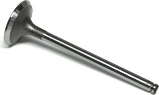 Gunes 4148