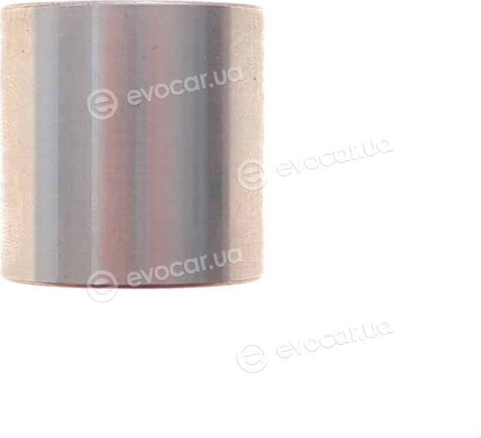 Dayco KTBWP12400
