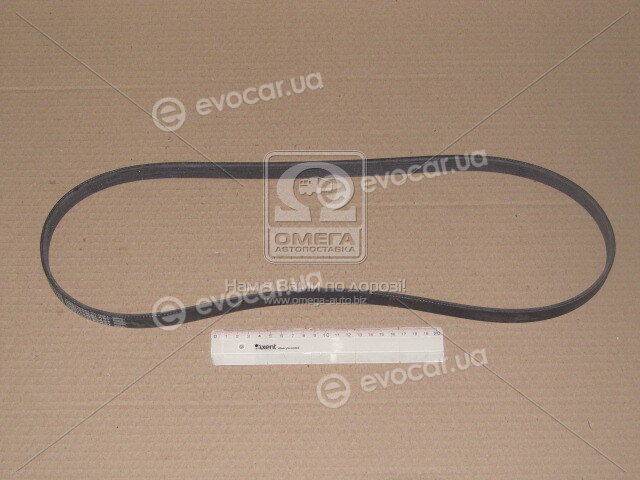 Continental 6PK1249 ELAST