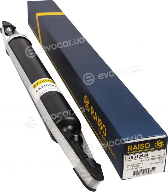 Raiso RS310984