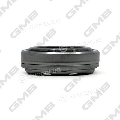 GMB GC01010