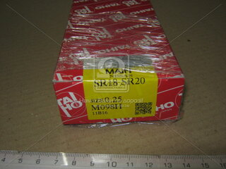 Taiho M098H025