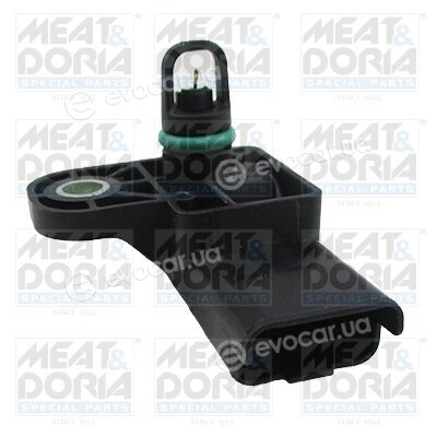 Meat & Doria 823037