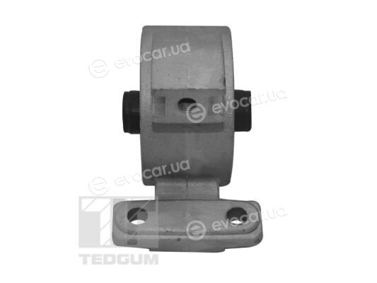 Tedgum TED94977