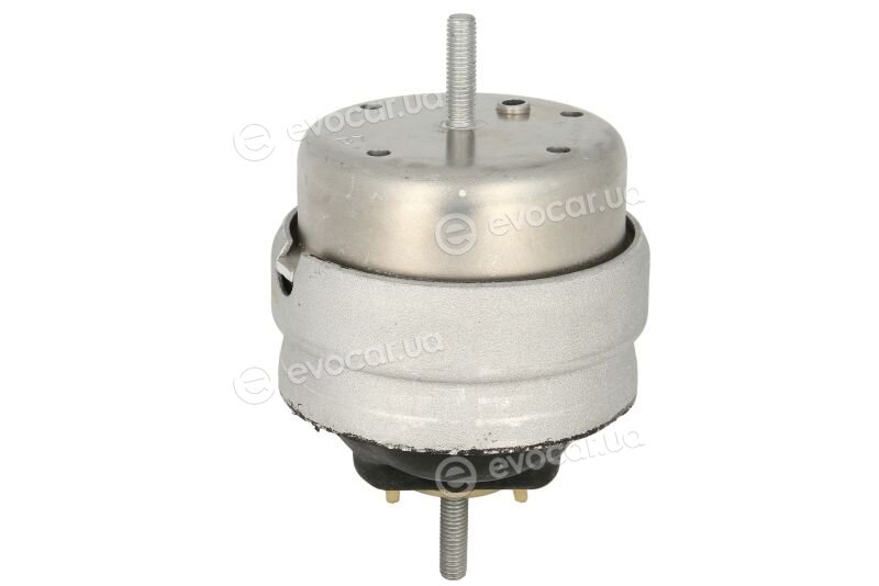 Reinhoch RH11-0162