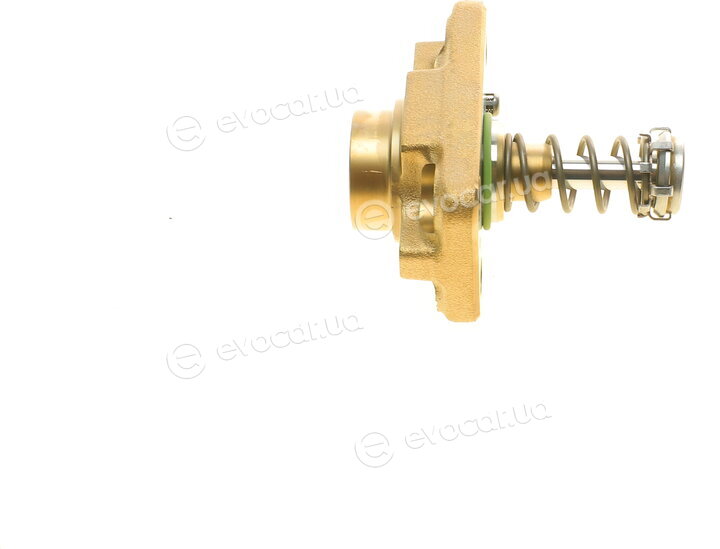 Bosch F 01M 100 869