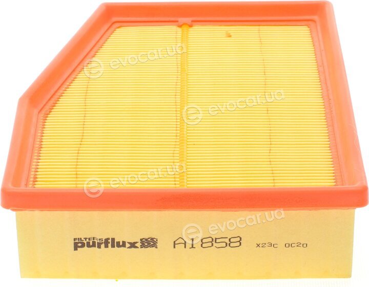 Purflux A1858