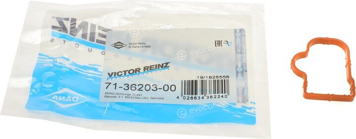 Victor Reinz 71-36203-00